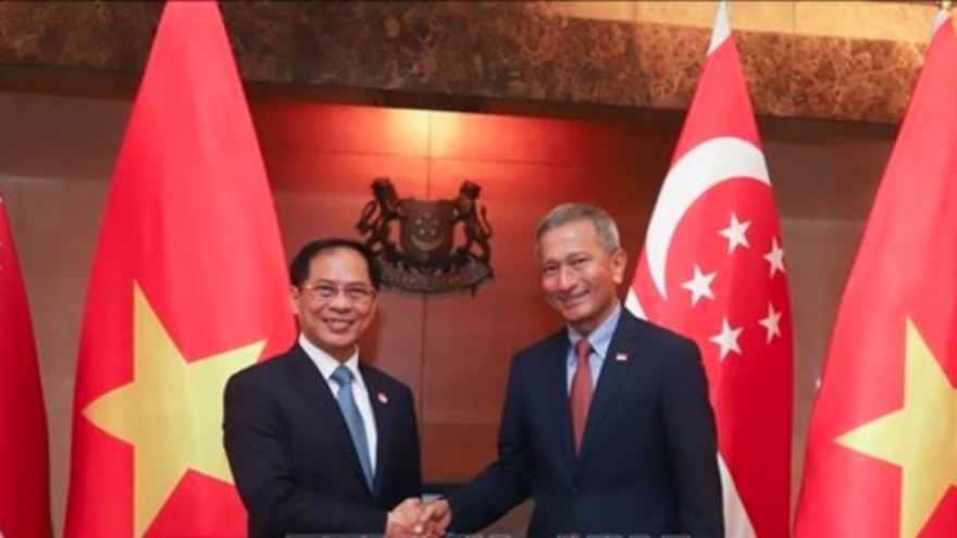 Vietnam considered important regional partner of Singapore